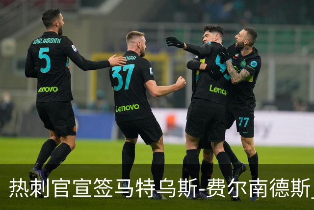 热刺官宣签马特乌斯-费尔南德斯 转会费8500万镑破纪录